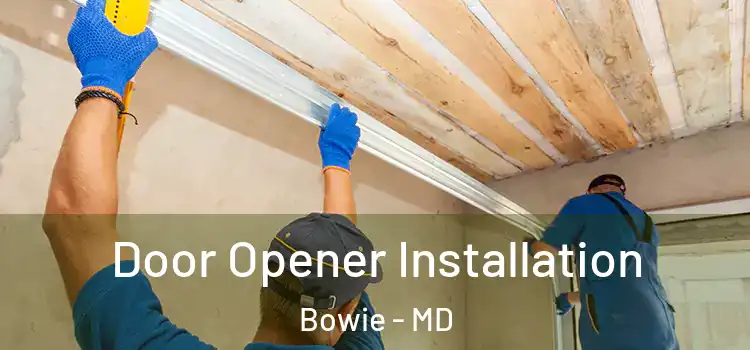 Door Opener Installation Bowie - MD