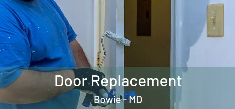 Door Replacement Bowie - MD