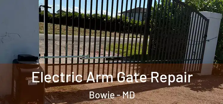 Electric Arm Gate Repair Bowie - MD