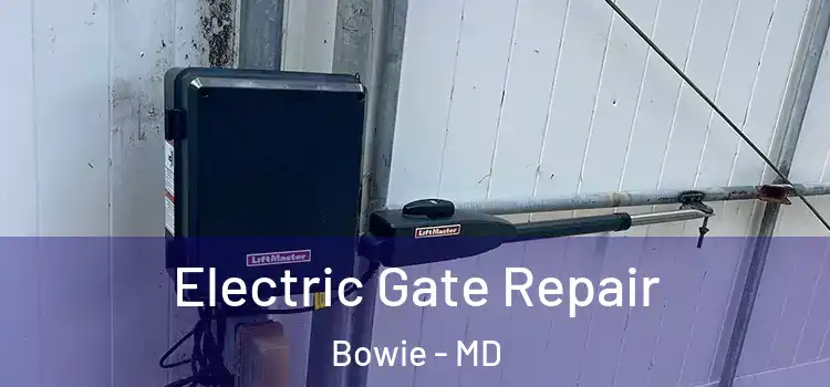 Electric Gate Repair Bowie - MD