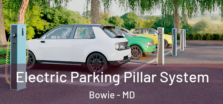 Electric Parking Pillar System Bowie - MD
