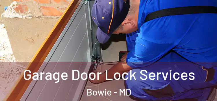 Garage Door Lock Services Bowie - MD