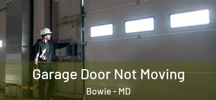  Garage Door Not Moving Bowie - MD