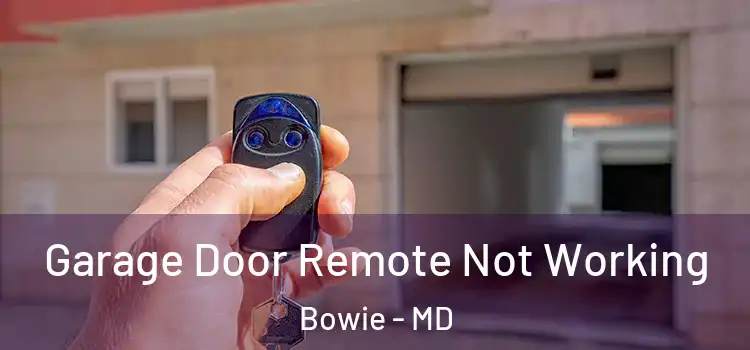  Garage Door Remote Not Working Bowie - MD