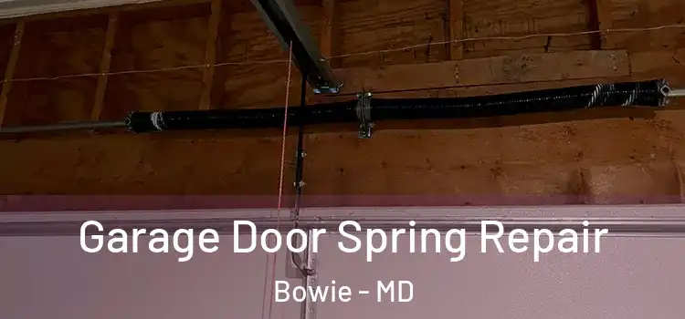  Garage Door Spring Repair Bowie - MD