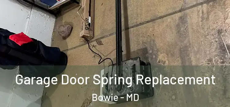  Garage Door Spring Replacement Bowie - MD