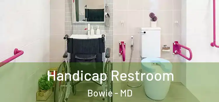 Handicap Restroom Bowie - MD