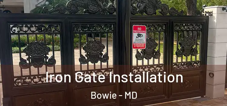 Iron Gate Installation Bowie - MD
