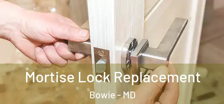 Mortise Lock Replacement Bowie - MD
