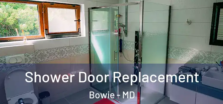 Shower Door Replacement Bowie - MD