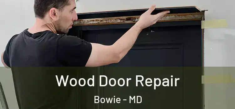 Wood Door Repair Bowie - MD